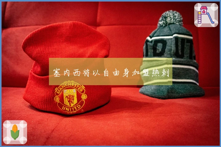 塞内西将以自由身加盟热刺