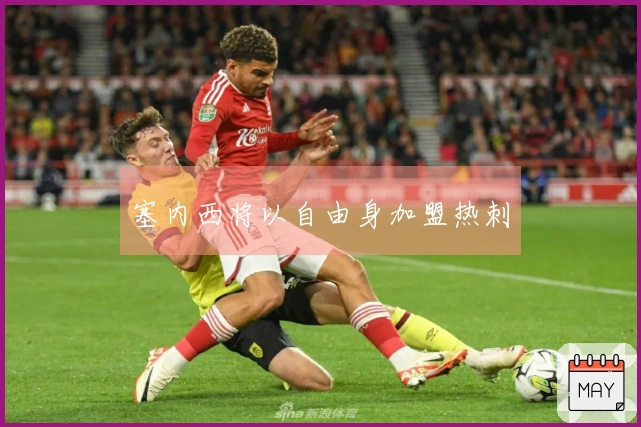 塞内西将以自由身加盟热刺