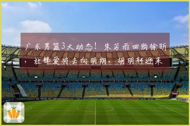 广东男篮3大动态!朱芳雨回购徐昕,杜锋爱将去向明朗,胡明轩迎来新消息